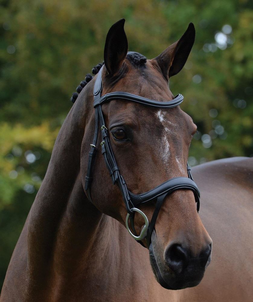 Collegiate Comfitec Vogue Anatomical Bridle