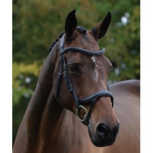 Collegiate Comfitec Vogue Anatomical Bridle