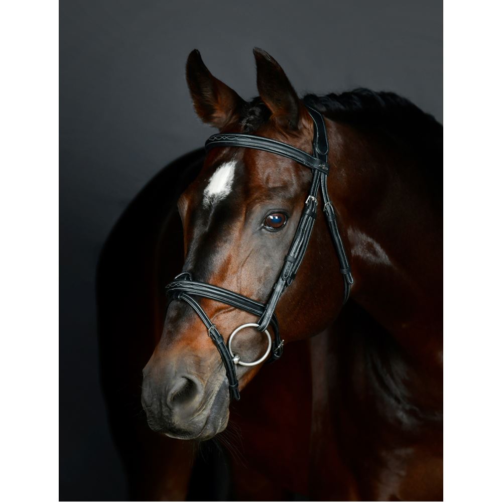 Weatherbeeta Collegiate Comfitec Opulux Fancy Stitch Padded Hanoverian Bridle