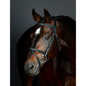 Weatherbeeta Collegiate Comfitec Opulux Fancy Stitch Padded Hanoverian Bridle