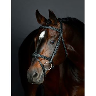 Weatherbeeta Collegiate Comfitec Opulux Fancy Stitch Padded Hanoverian Bridle