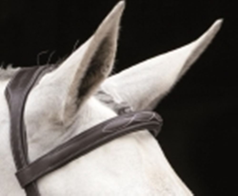 Rambo Micklem Deluxe Competition Bridle (No reins)