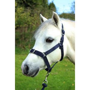 Gallop Headcollar & Leadrope Set (Navy)