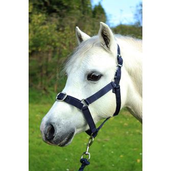 Gallop Headcollar & Leadrope Set (Navy)