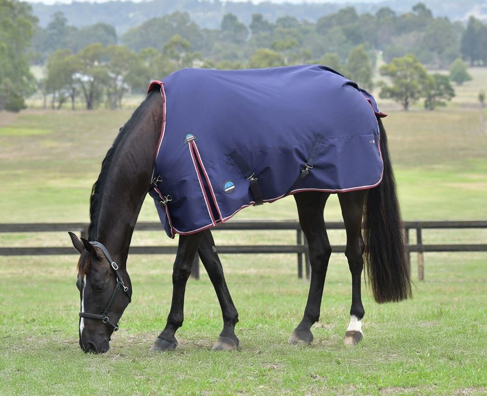 Weatherbeeta Comfitec Essential Turnout Standard Neck - 50g (Navy/Burgundy)