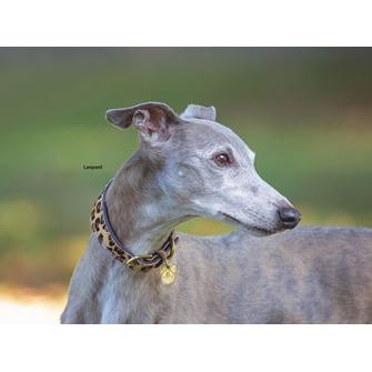 Shires Digby & Fox Cow Hair Greyhound Collar (L)