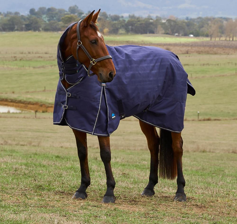 Weatherbeeta Comfitec Prelim Turnout Combo - 220g (Navy Embossed Plaid)