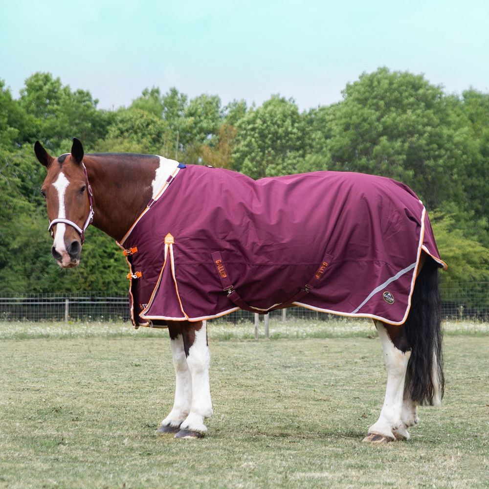 Gallop 1200D TROJAN Xtra 100g Duraproof 5-Point Turnout (Burgundy with Orange/White bindings)