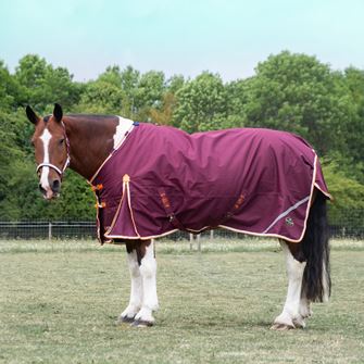 Gallop 1200D TROJAN Xtra 100g Duraproof 5-Point Turnout (Burgundy with Orange/White bindings)