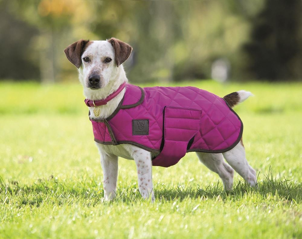 Shires Quilted Dog Coat XXXS-S