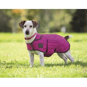Shires Quilted Dog Coat XXXS-S