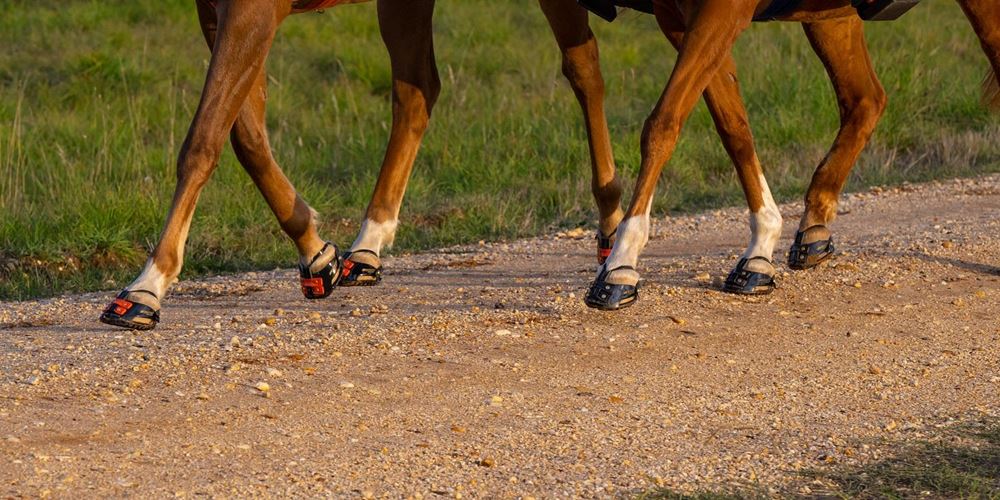 Scootboot Adjust Hoof Boot (SINGLE BOOT)