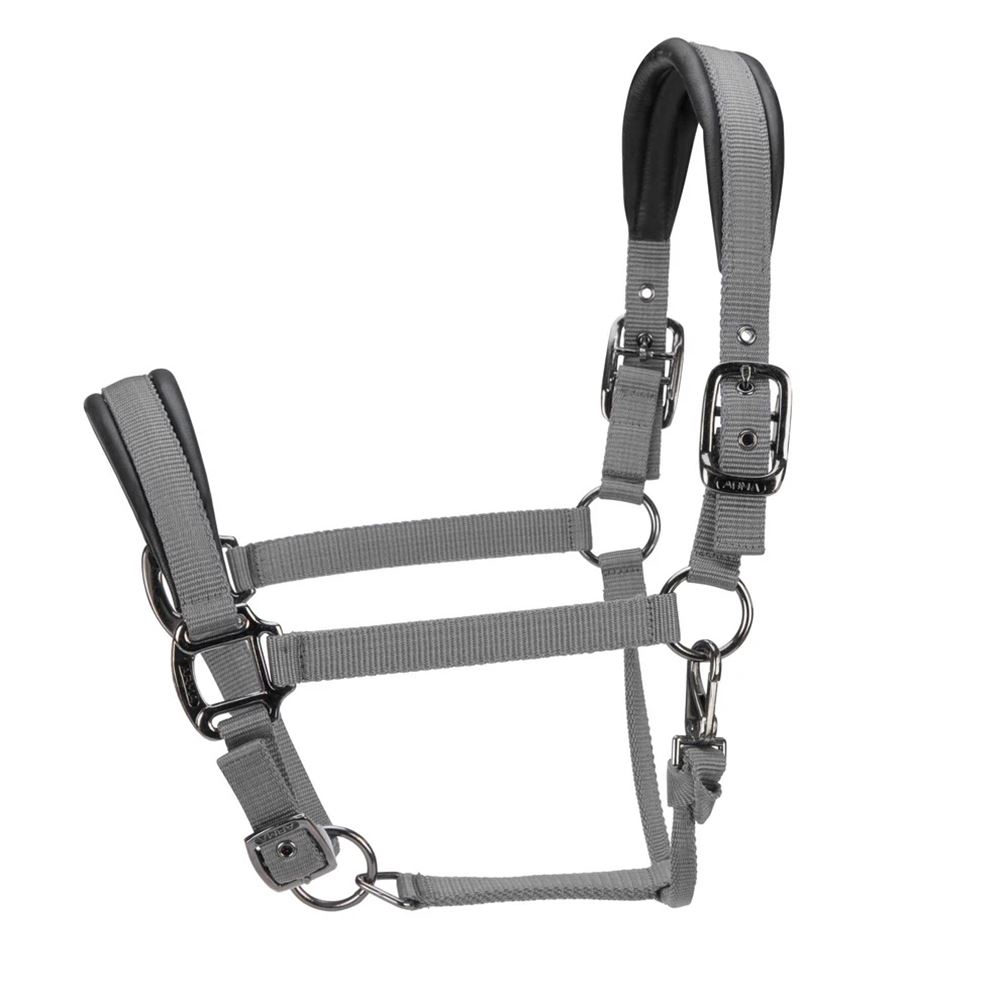 Shires ARMA Pro Padded Headcollar (Grey)