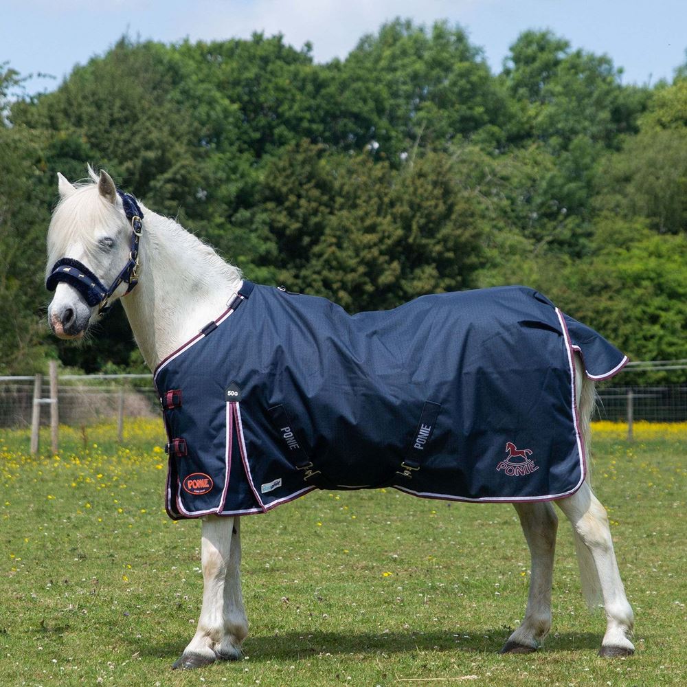 Gallop Ponie DURAPROOF 50 Turnout Rug (Navy/Burgundy)