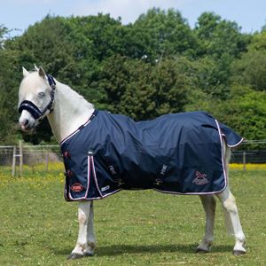 Gallop Ponie DURAPROOF 50 Turnout Rug (Navy/Burgundy)