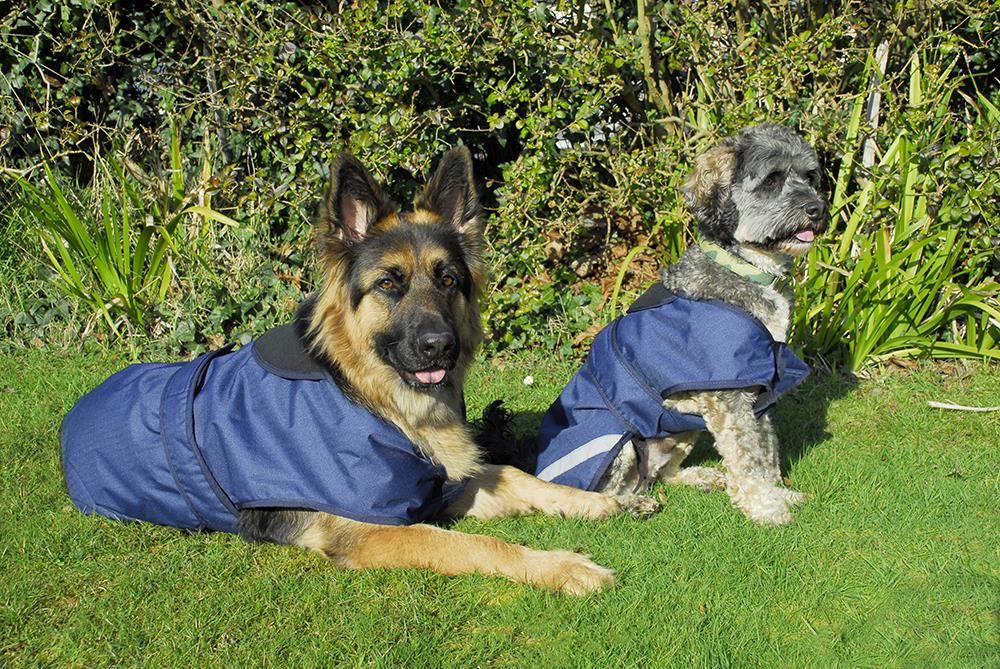 Rhinegold Highland Waterproof Dog Coat (Navy)