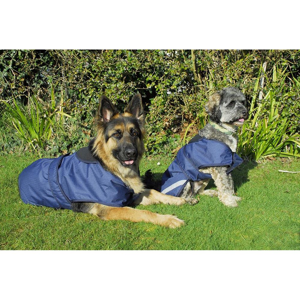 Rhinegold Highland Waterproof Dog Coat (Navy)
