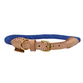 Shires Digby & Fox Reflective Dog Collar (Royal)