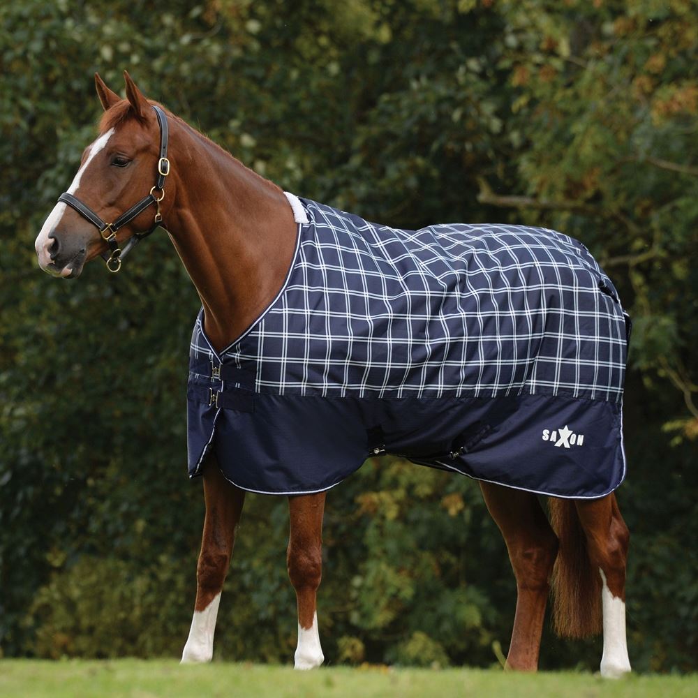 Saxon Defiant 600D Standard Neck Medium Turnout Rug 200g