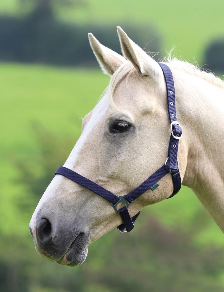 Shires Wessex Nylon Headcollar 