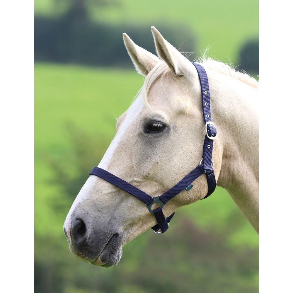 Shires Wessex Nylon Headcollar 