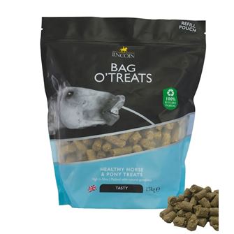 Lincoln Bag O' Treats (1.5kg)