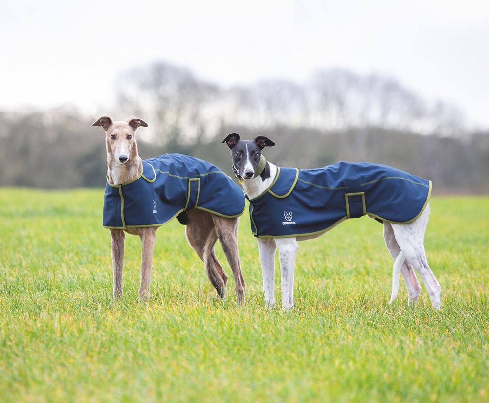 Shires Digby & Fox Softshell Greyhound Coat (XXXS & XXS)
