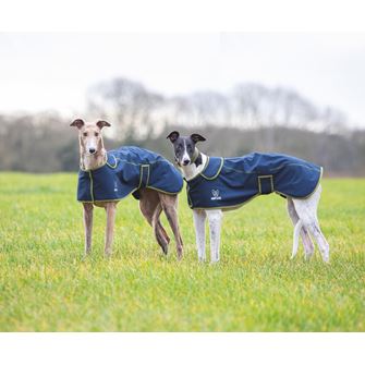 Shires Digby & Fox Softshell Greyhound Coat (XS & S)