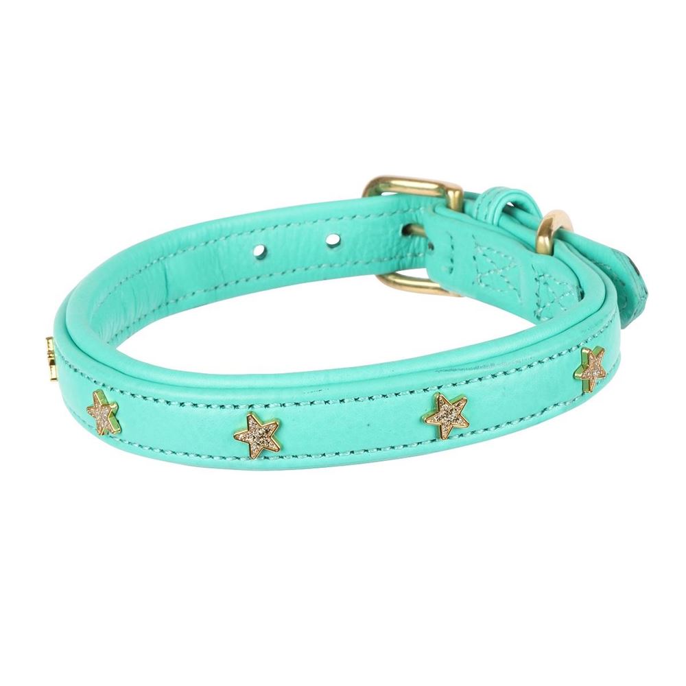 **barcodes** Digby & Fox Star Dog Collar - L, XL, XXL (Teal)