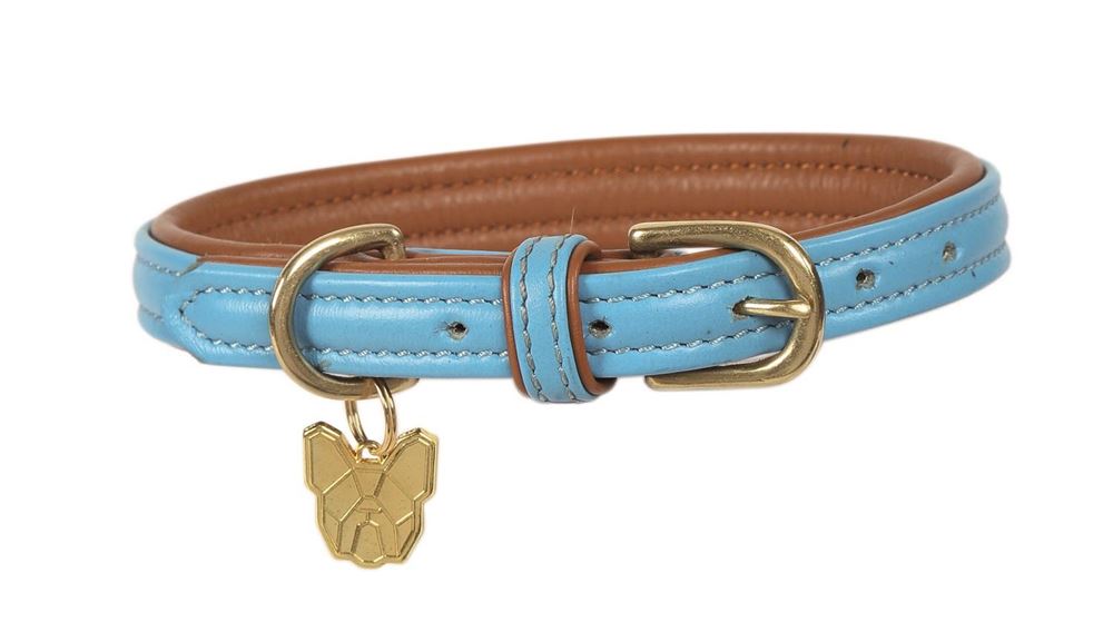 Shires Digby & Fox Padded Leather Dog Collar XL - XXL