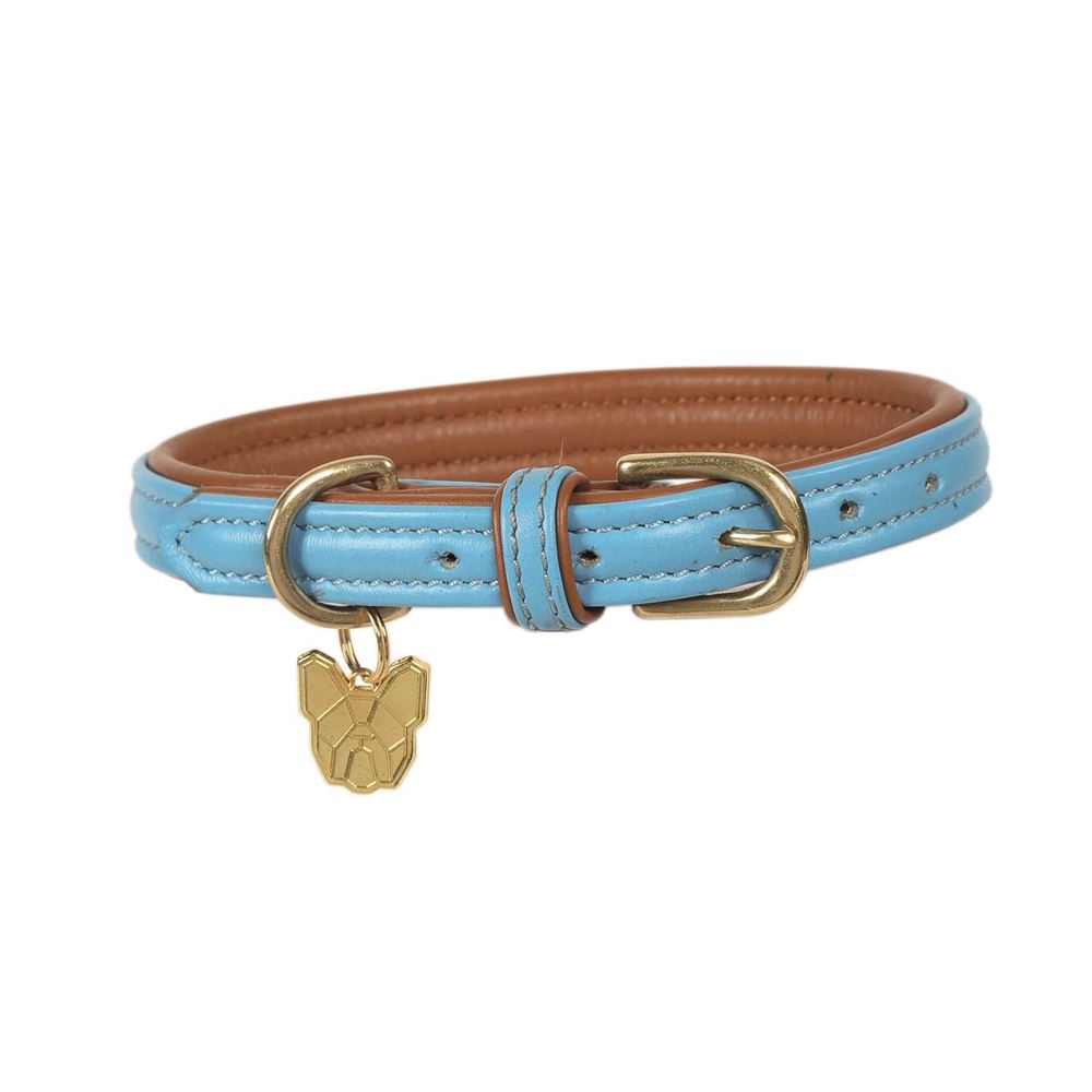 Shires Digby & Fox Padded Leather Dog Collar XL - XXL