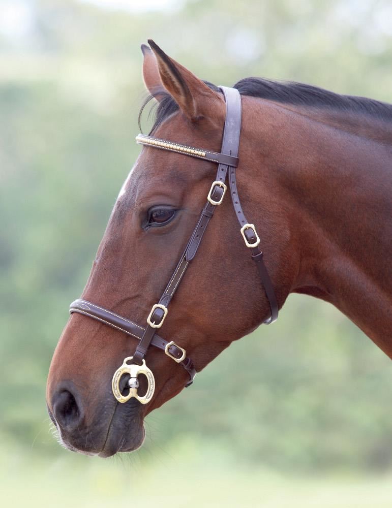 Shires Blenheim Clincher Inhand Bridle