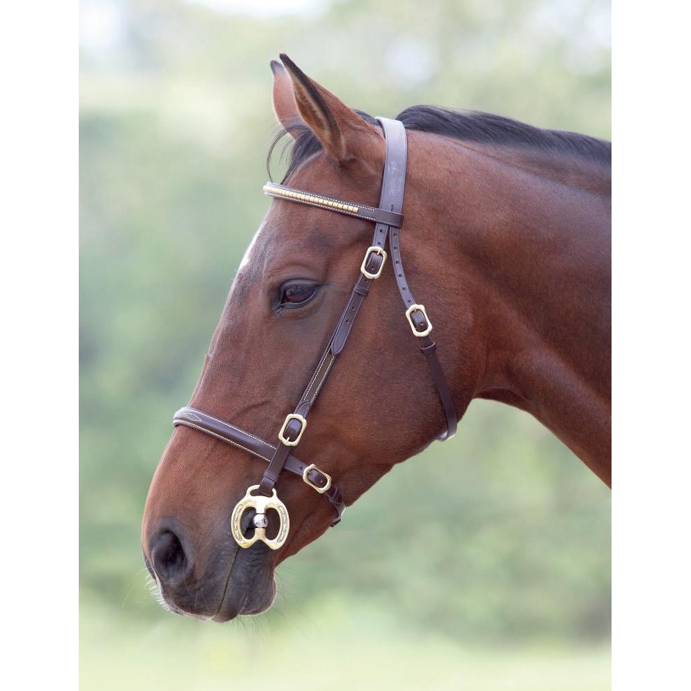 Shires Blenheim Clincher Inhand Bridle
