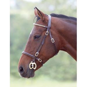 Shires Blenheim Clincher Inhand Bridle