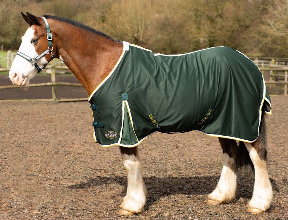 Gallop Summer Sheet (Green)