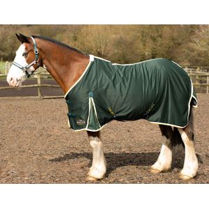 Gallop Summer Sheet (Green)