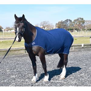 Rhinegold Fleece Horsewalker/Lunge Rug (Navy)