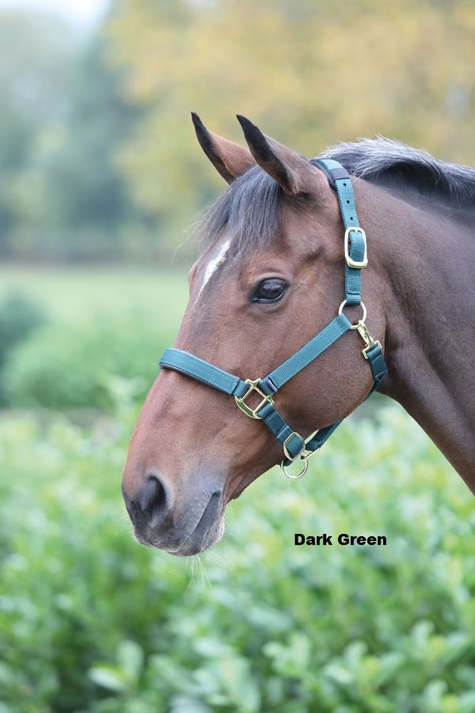 Shires Topaz Nylon Headcollar