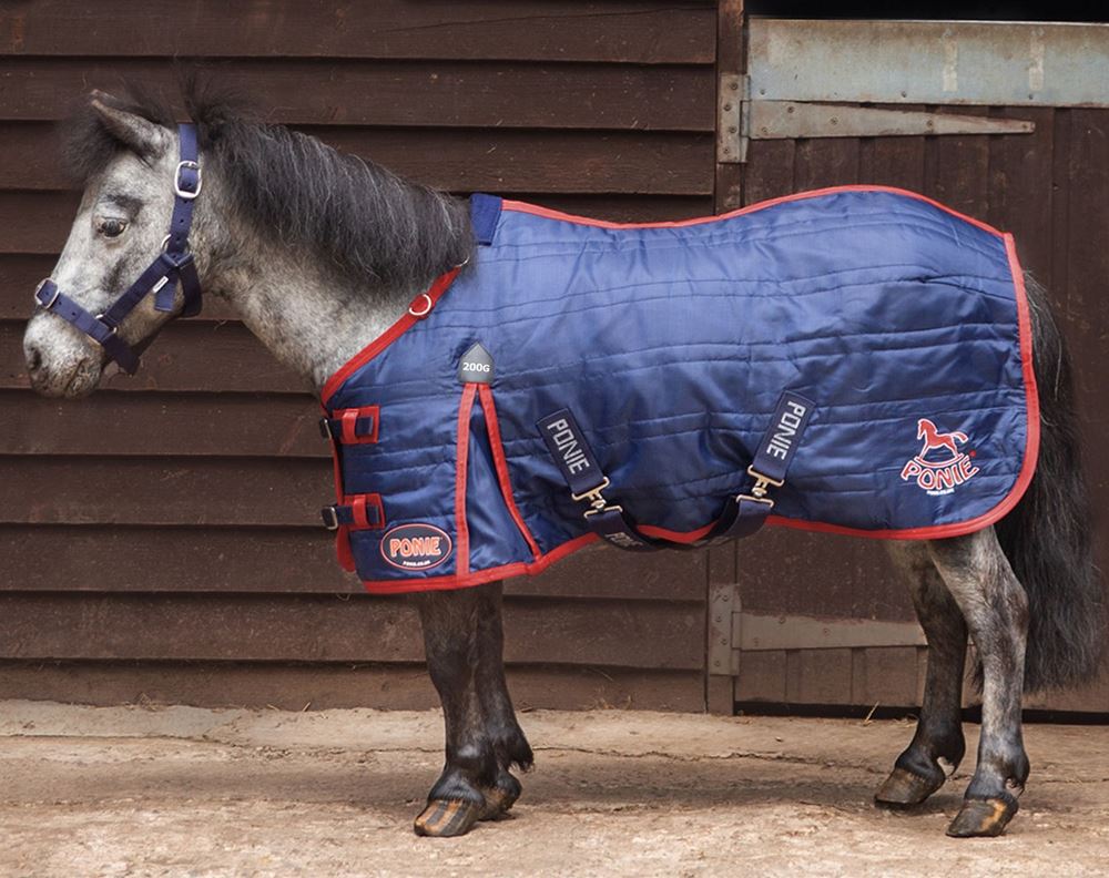 Gallop PONIE 200g Stable Rug (Navy with Red bindings)