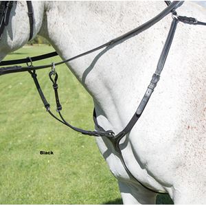Shires Avignon Breastplate