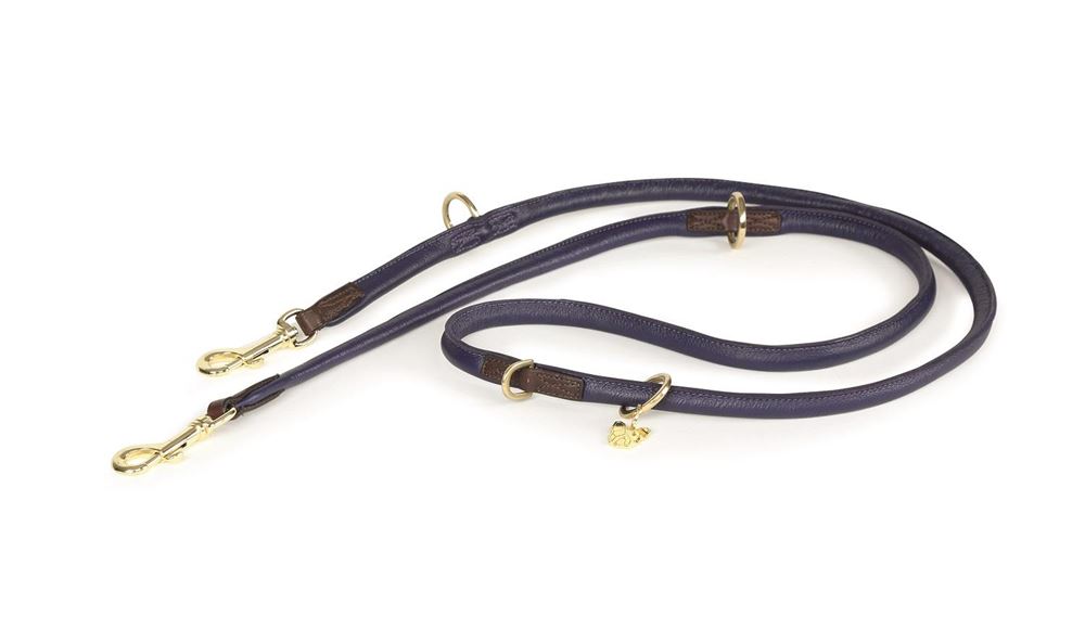 Shires Digby & Fox Rolled Leather Dog Training Lead
