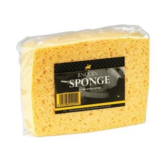 Lincoln Sponge