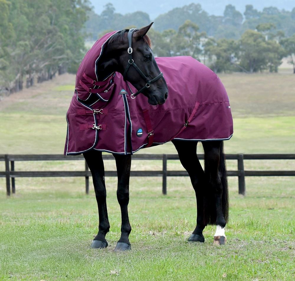 Weatherbeeta Comfitec Essential Turnout Combo - 220g (Burgundy/Navy)