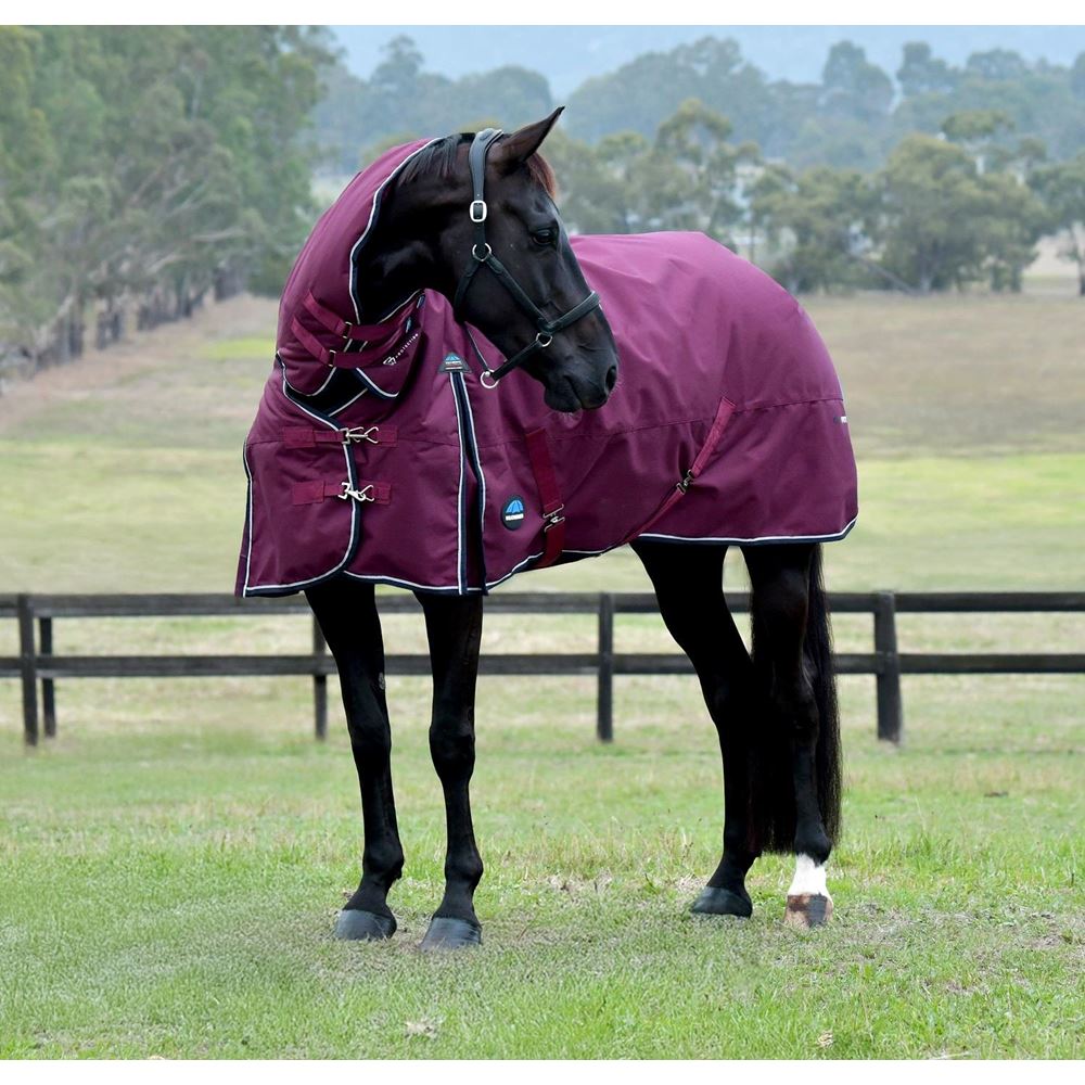 Weatherbeeta Comfitec Essential Turnout Combo - 220g (Burgundy/Navy)