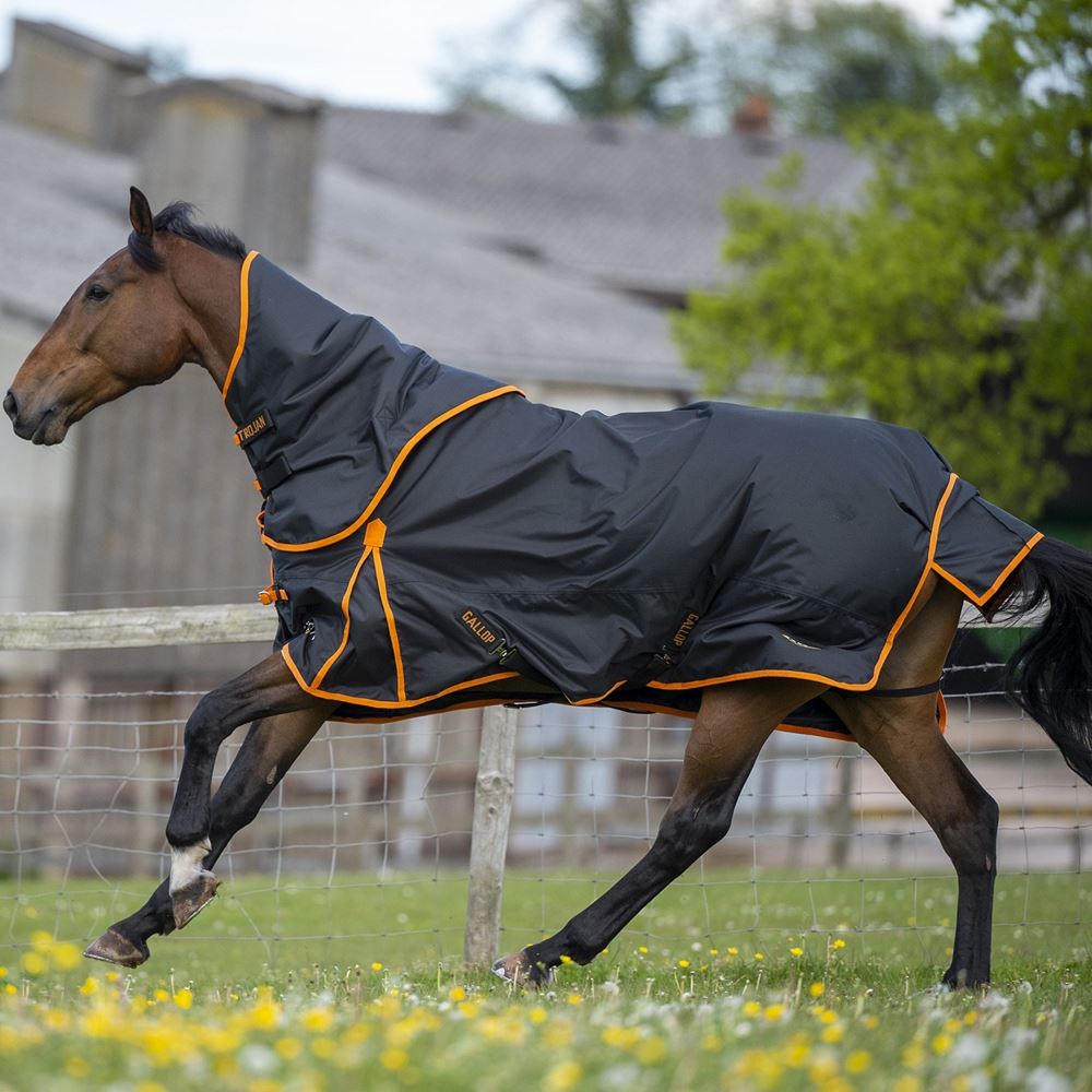 Gallop Trojan Dual 100 Turnout Rug & Neck Set (Black/Orange)