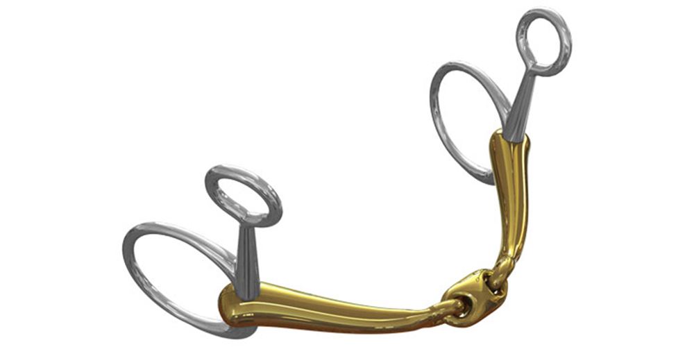 Neue Schule NS Tranz Baucher 