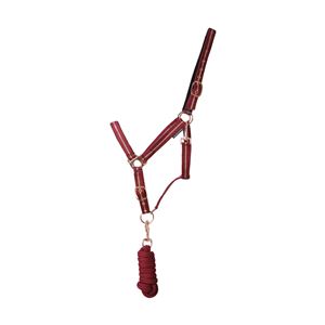 Hy Equestrian Rose Glitter Head Collar and Lead Rope Set (Burgundy)