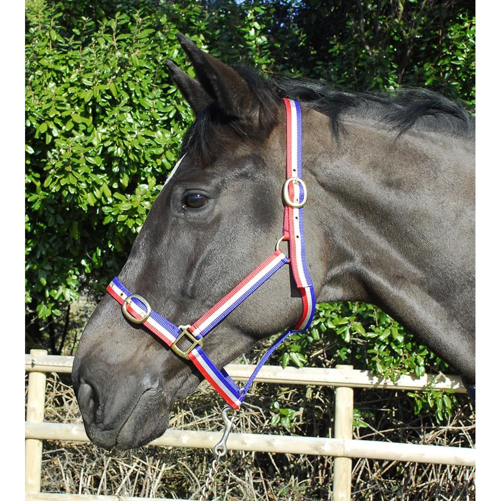 Rhinegold Nylon Headcollar (Red/White/Blue)
