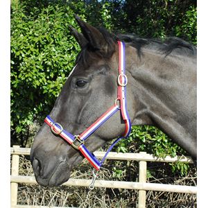 Rhinegold Nylon Headcollar (Red/White/Blue)