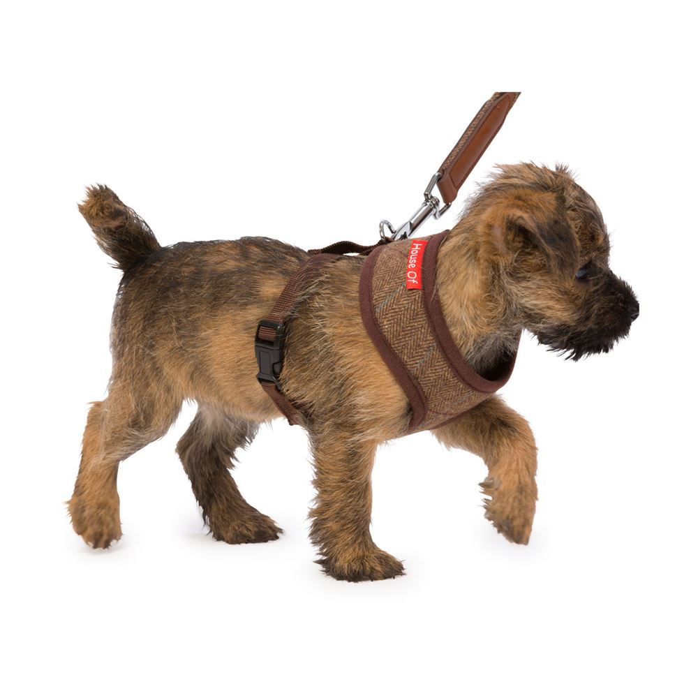 House of Paws Memory Foam Harness - Small